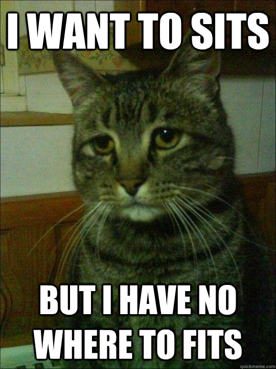 i want to sits but i have no where to fits - Depressed cat