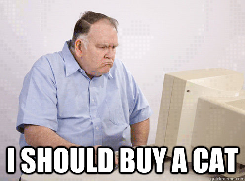 i should buy a cat -