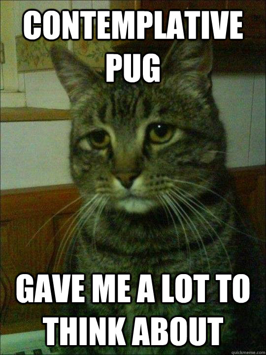 contemplative pug gave me a lot to think about - Depressed cat