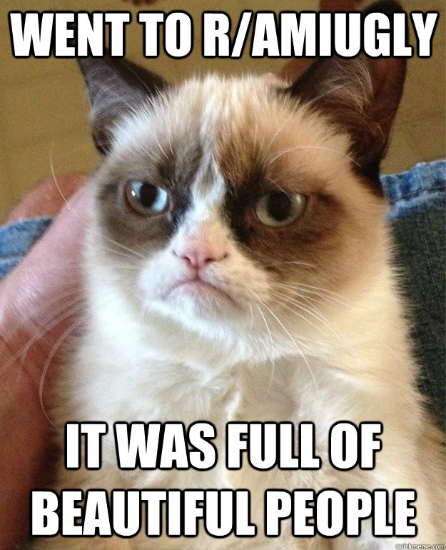 went to ramiugly it was full of beautiful people - Grumpy Cat