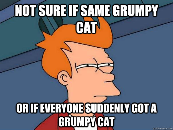not sure if same grumpy cat or if everyone suddenly got a gr - Futurama Fry