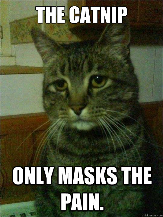 the catnip only masks the pain - Depressed Cat