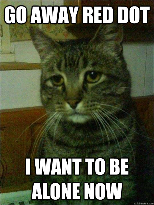 go away red dot i want to be alone now - Depressed cat