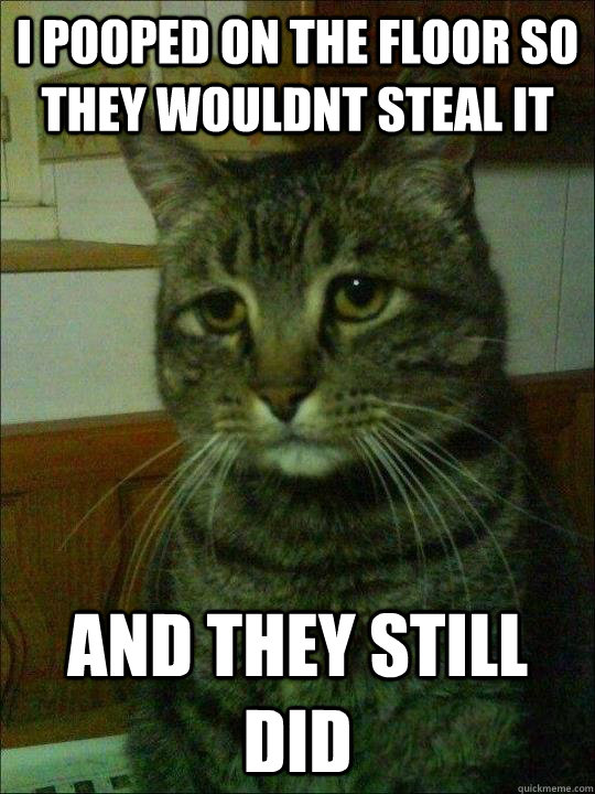i pooped on the floor so they wouldnt steal it and they stil - Depressed cat