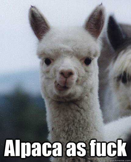 alpaca as fuck - ALPACA
