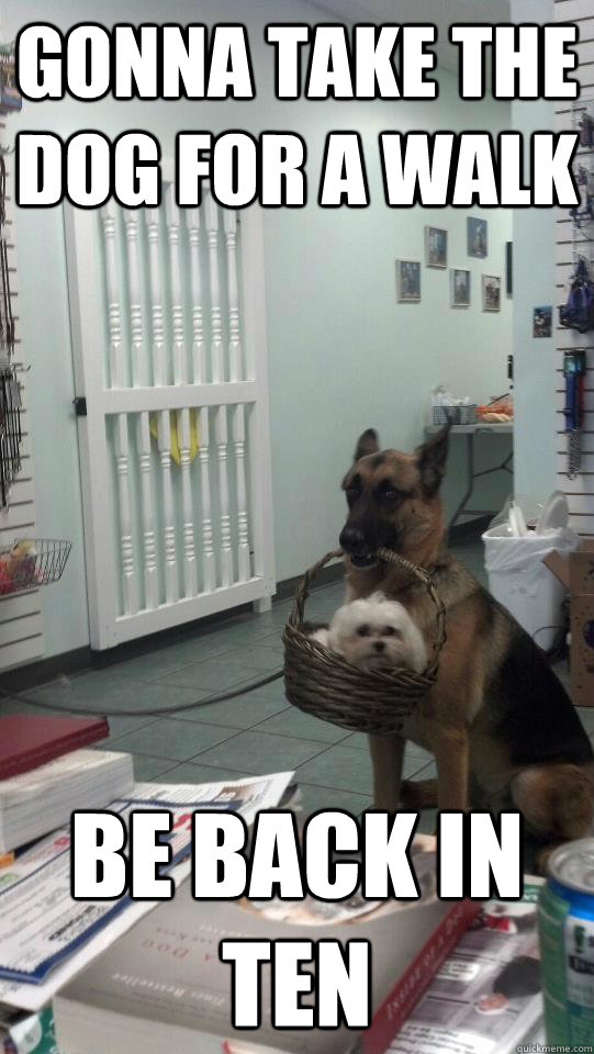 gonna take the dog for a walk be back in ten - Good Guy Dog