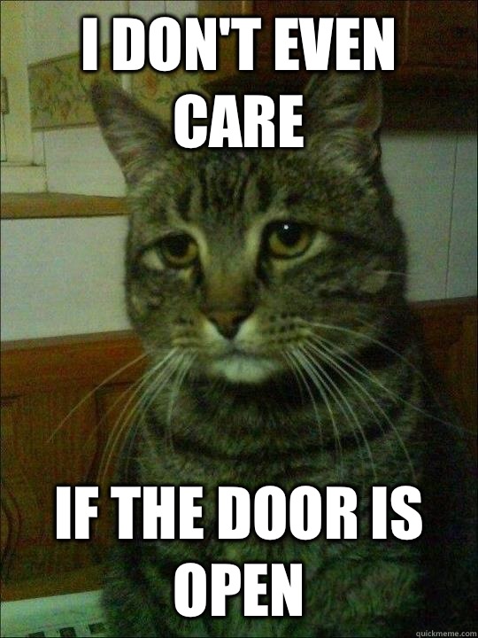 I dont even care If the door is open - Depressed cat