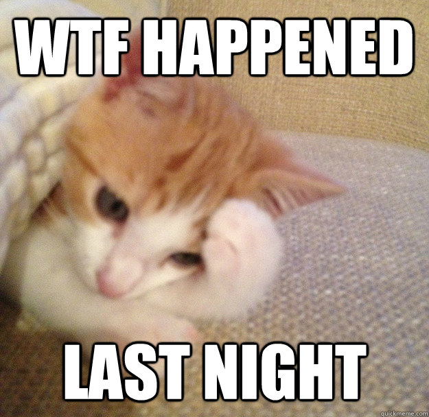 wtf happened last night - WTFCAT