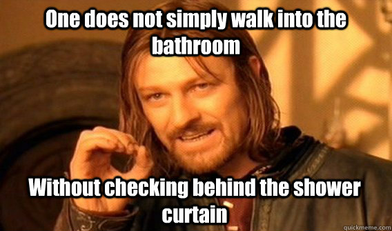 one does not simply walk into the bathroom without checking - One Does Not Simply