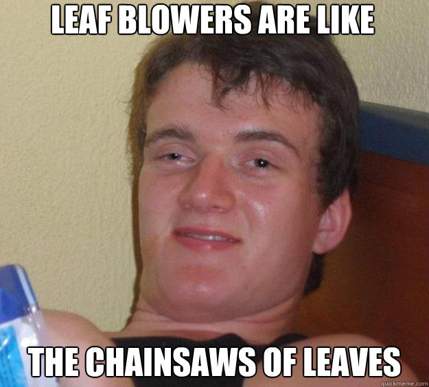 leaf blowers are like the chainsaws of leaves - 10 Guy