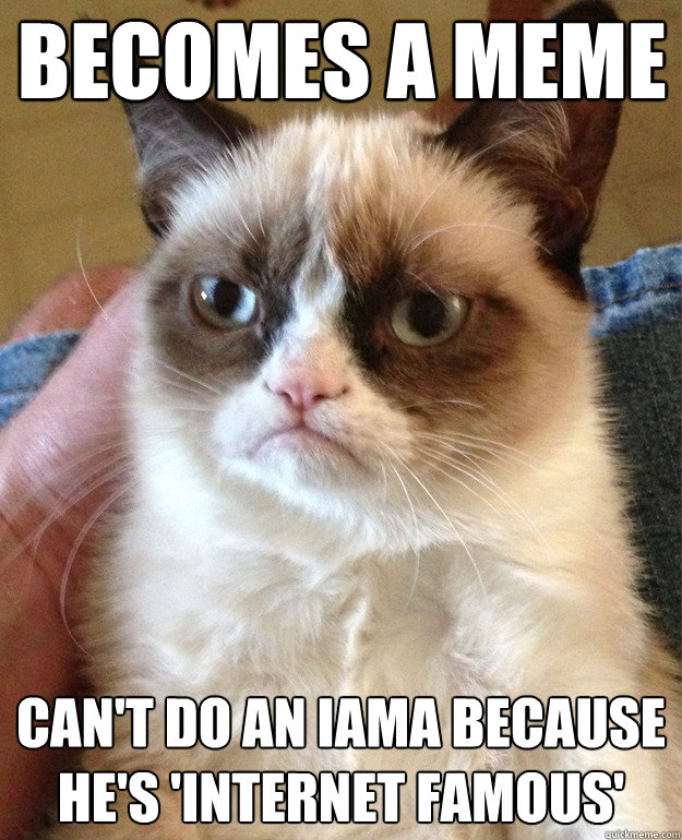 becomes a meme cant do an iama because hes internet famou - Grumpy Cat