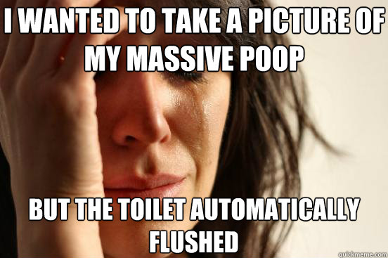 i wanted to take a picture of my massive poop but the toilet - First World Problems