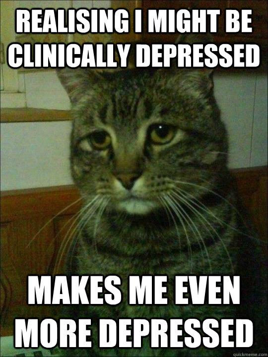 realising i might be clinically depressed makes me even more - Depressed cat