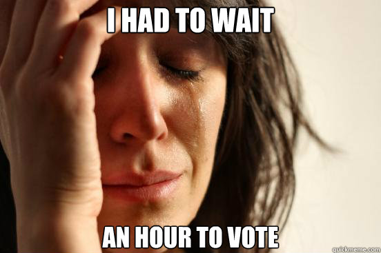i had to wait an hour to vote - First World Problems