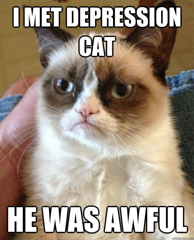 i met depression cat he was awful - Grumpy Cat