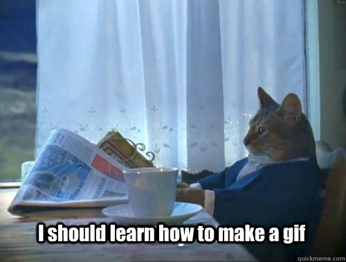 i should learn how to make a gif - Fancy Cat