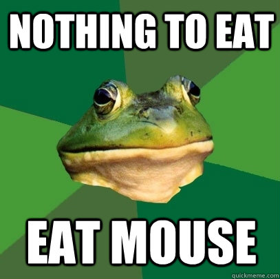 nothing to eat eat mouse - Foul Bachelor Frog