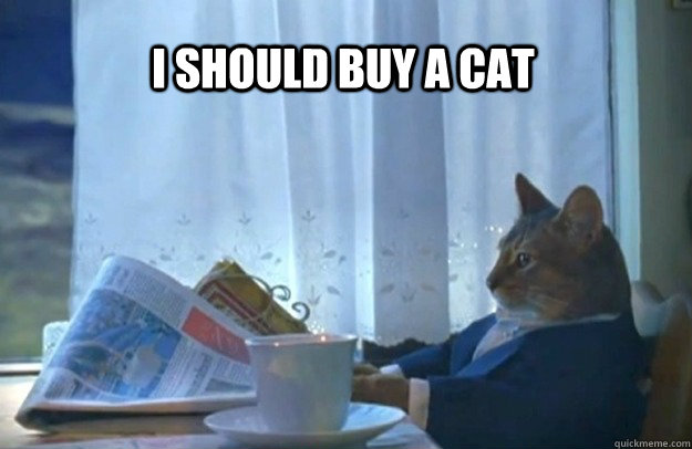 i should buy a cat - Sophisticated Cat