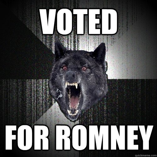 voted for romney - Insanity Wolf