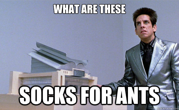 what are these socks for ants - Angry Zoolander