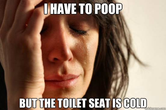 i have to poop but the toilet seat is cold - First World Problems