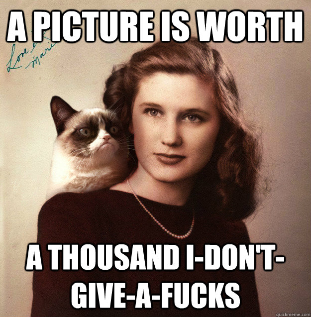 a picture is worth a thousand idontgiveafucks - Grumpy Cat Portrait