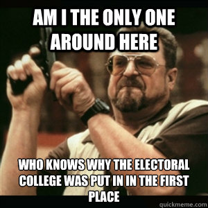 am i the only one around here who knows why the electoral co - Am I The Only One Round Here