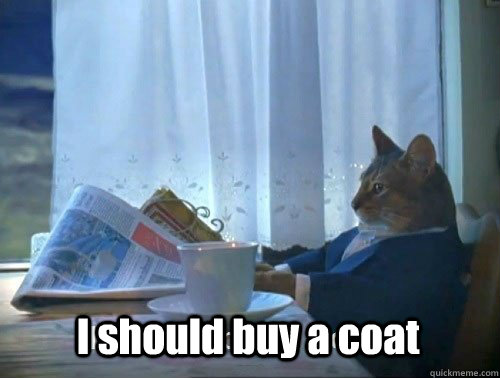 i should buy a coat - Fancy Cat