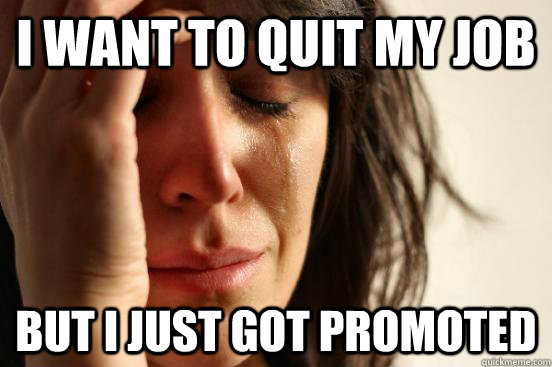 i want to quit my job but i just got promoted - First World Problems