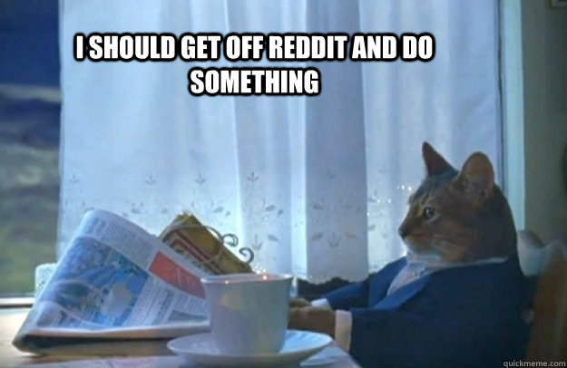 i should get off reddit and do something - Sophisticated Cat