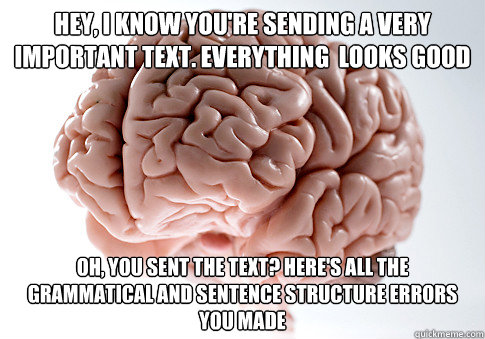 hey i know youre sending a very important text everything - Scumbag Brain