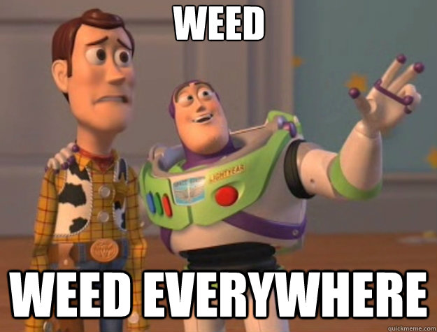weed weed everywhere - Toy Story
