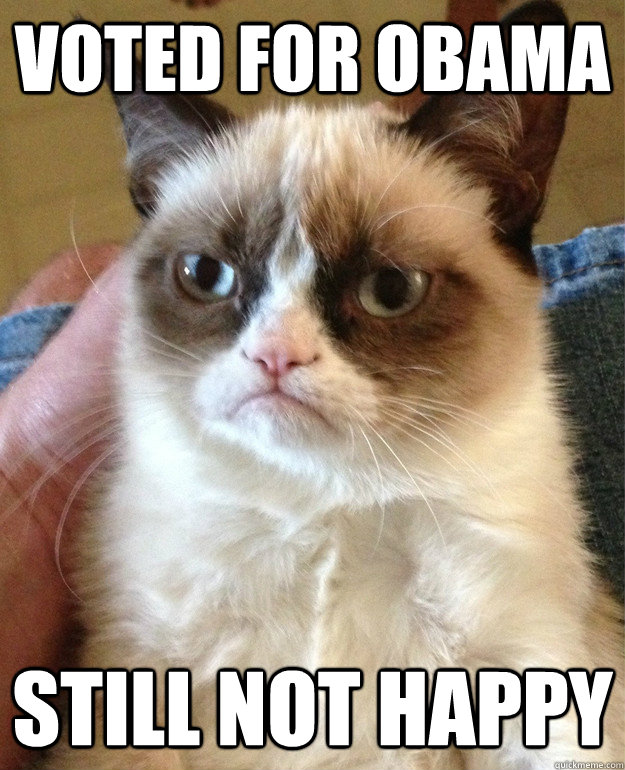 voted for obama still not happy - Grumpy Cat