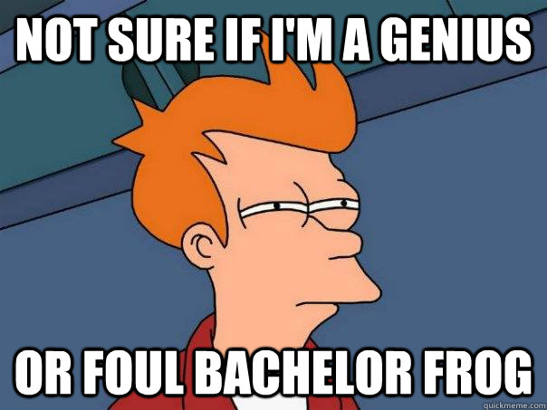 not sure if im a genius or foul bachelor frog - Futurama Fry
