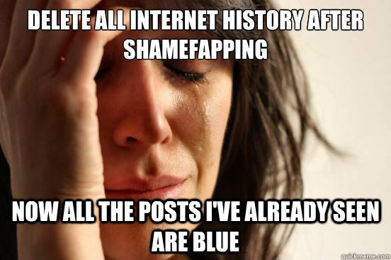 delete all internet history after shamefapping now all the p - First World Problems