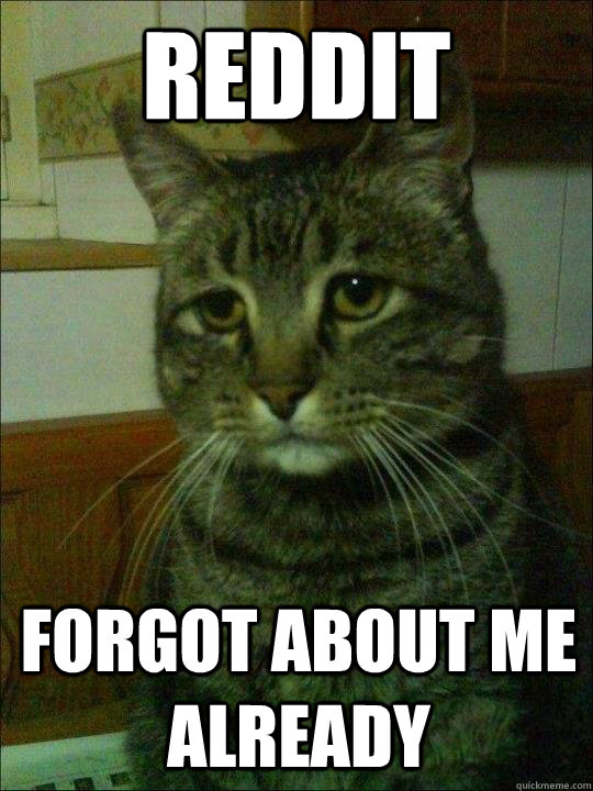 reddit forgot about me already - Depressed Cat