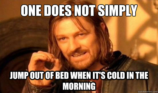 one does not simply jump out of bed when its cold in the mo - Boromir