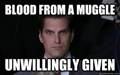 blood from a muggle unwillingly given - Menacing Josh Romney