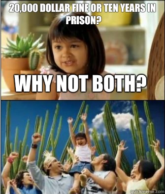 Why not both 20000 dollar fine or ten years in prison - Why not both