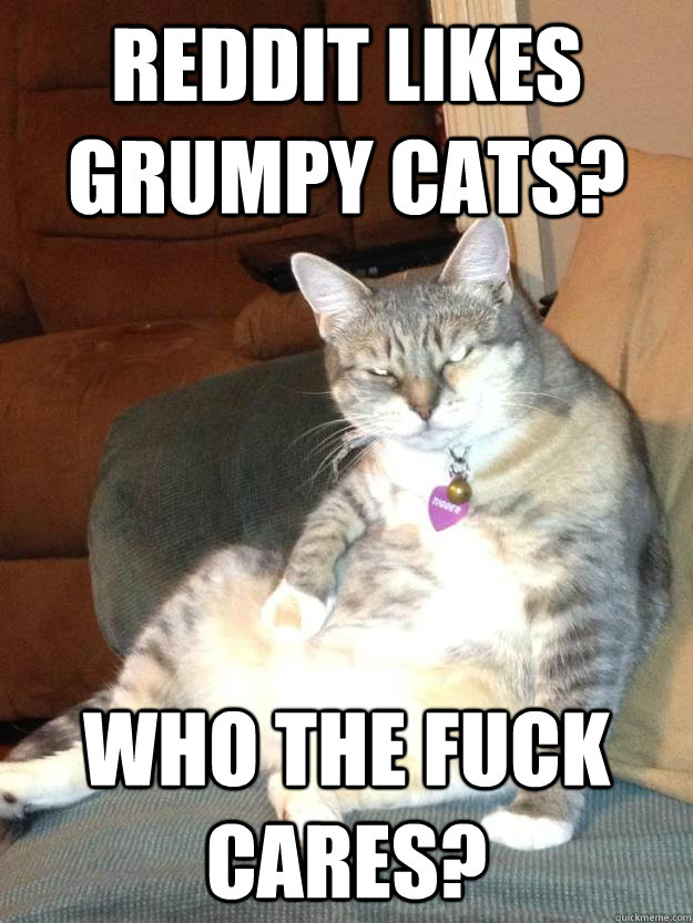 reddit likes grumpy cats who the fuck cares - Nobody Cares Cat