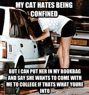 my cat hates being confined but i can put her in my bookbag - Karma Whore
