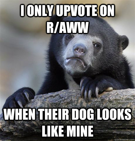 i only upvote on raww when their dog looks like mine - Confession Bear