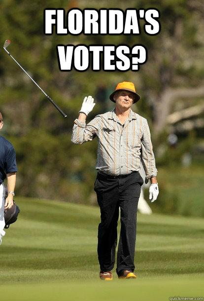 floridas votes  - fuck it bill murray