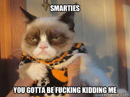 smarties you gotta be fucking kidding me - Grumpy cat goes trick or treating