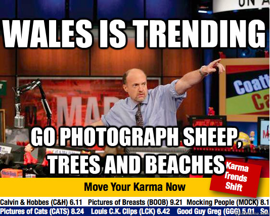 wales is trending go photograph sheep trees and beaches - Mad Karma with Jim Cramer