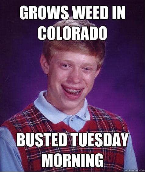 grows weed in colorado busted tuesday morning - Bad Luck Brian