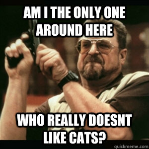 am i the only one around here who really doesnt like cats - Am I The Only One Round Here
