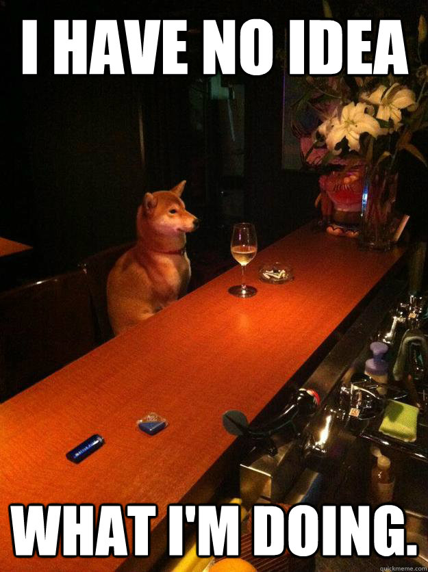 i have no idea what im doing - Bar Dog