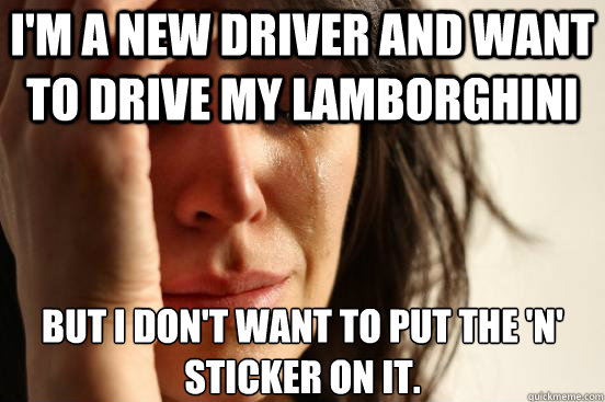 im a new driver and want to drive my lamborghini but i don - First World Problems