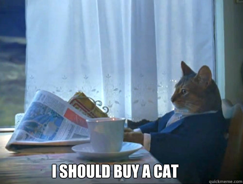 i should buy a cat - The One Percent Cat